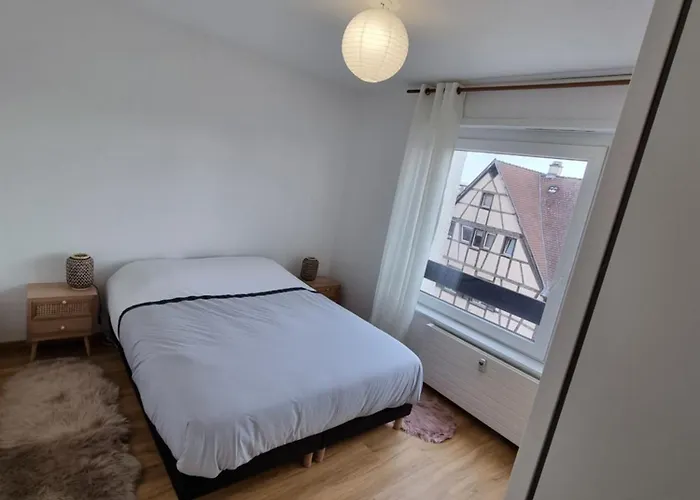 Les Toits De - Parking Colmar